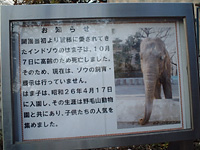 野毛山動物園