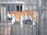 野毛山動物園