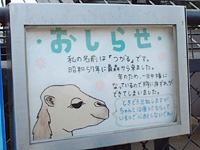 野毛山動物園