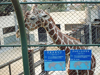 野毛山動物園