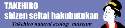 Takehiro natural ecology museum