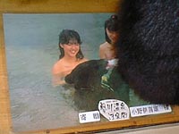 postcard